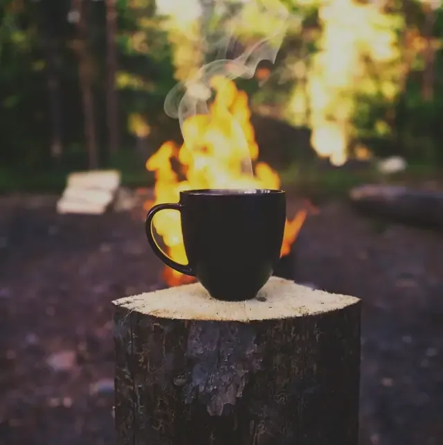 Coffee mug on a stump in front of a campfire